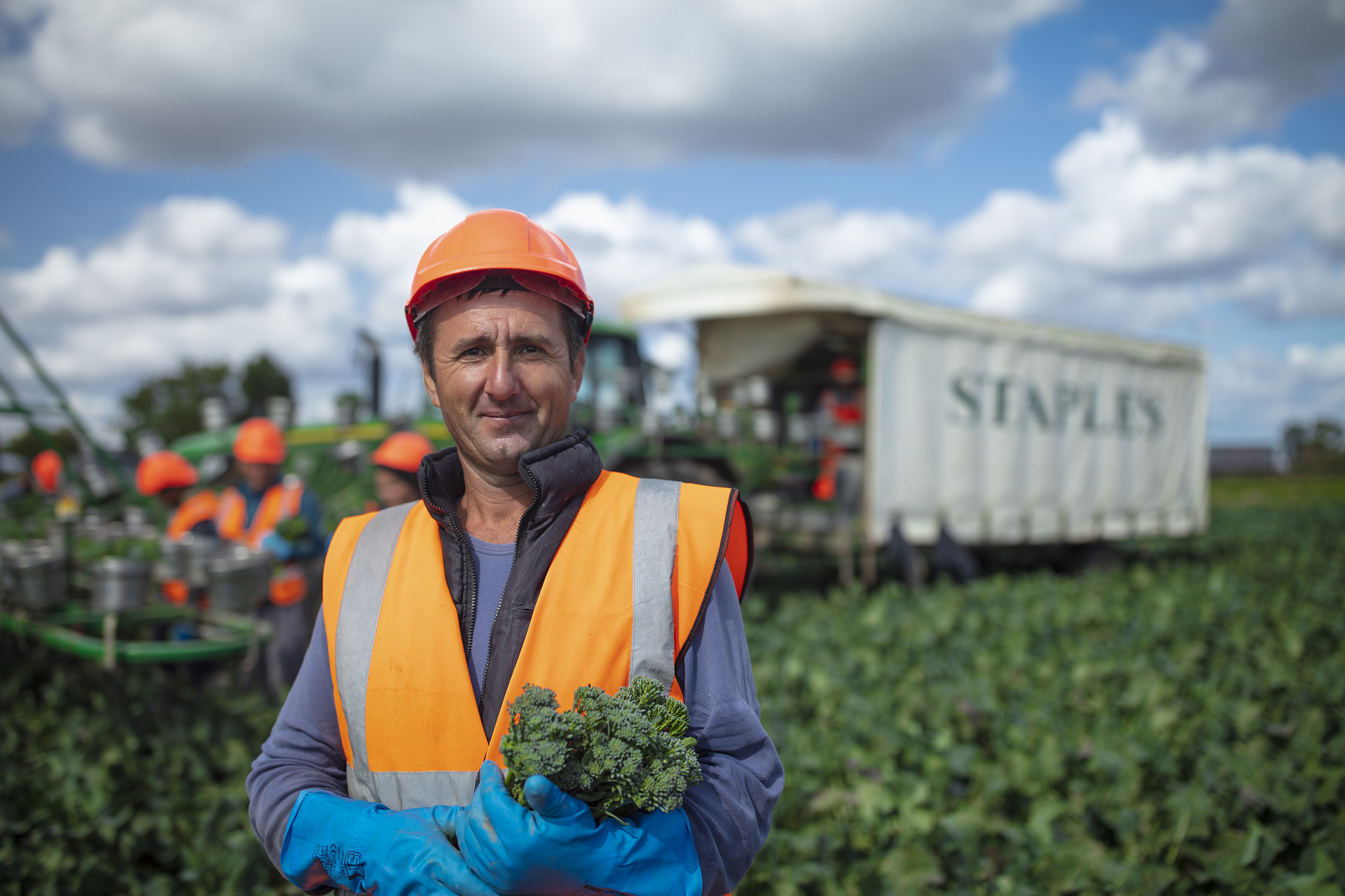 Staples Farms